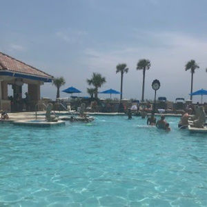 Meet your Posher, Robin